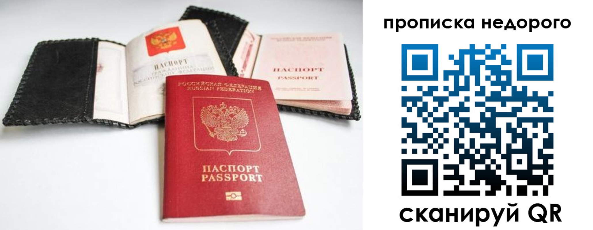 прописка гарантия в Королёве