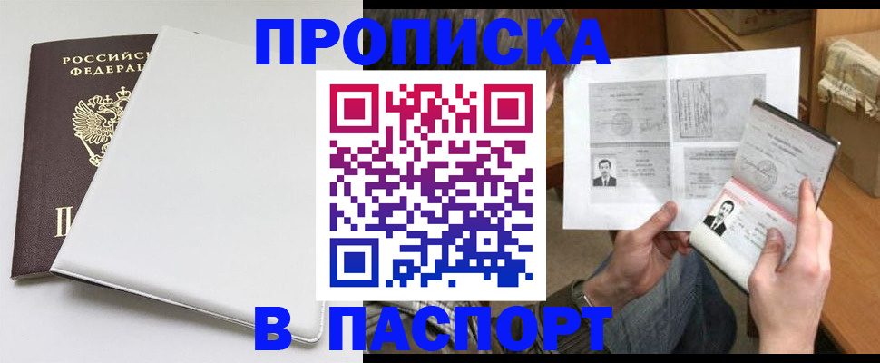 прописка штамп в Королёве